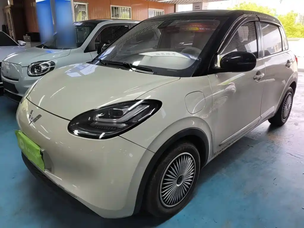 Wuling Bingo 2024