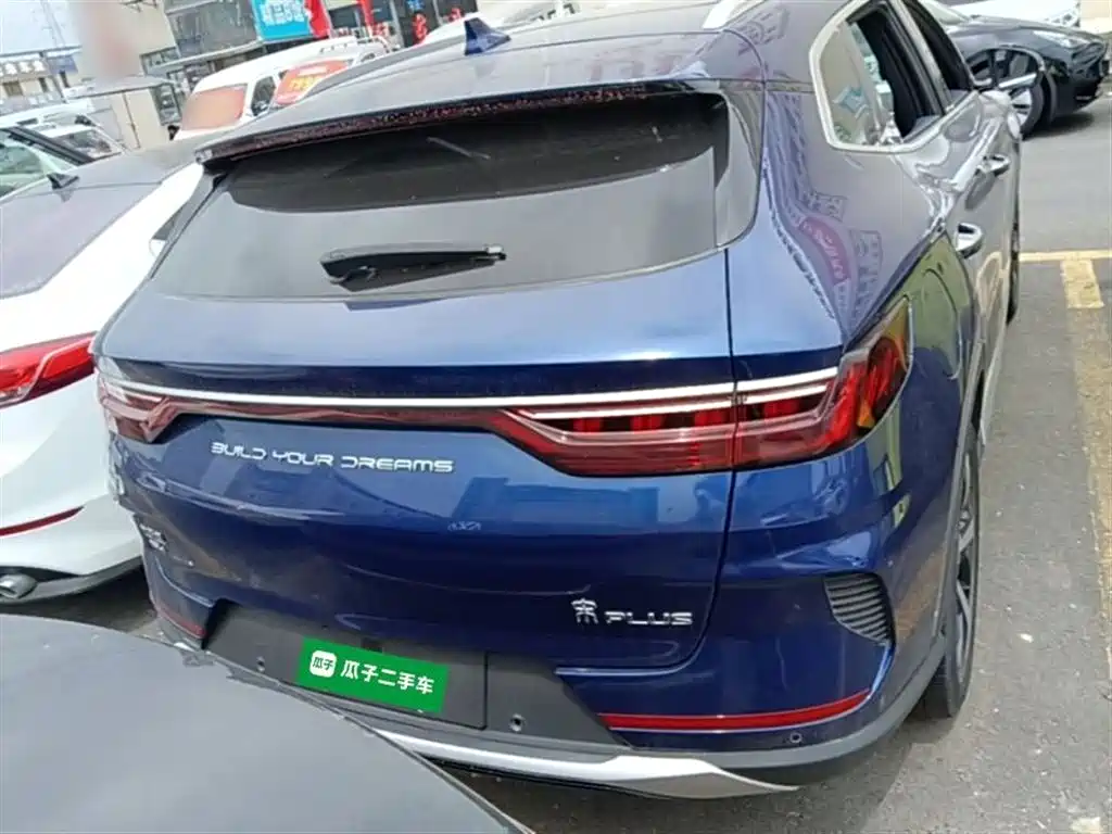 BYD PLUS New Energy 2022 — фото 6