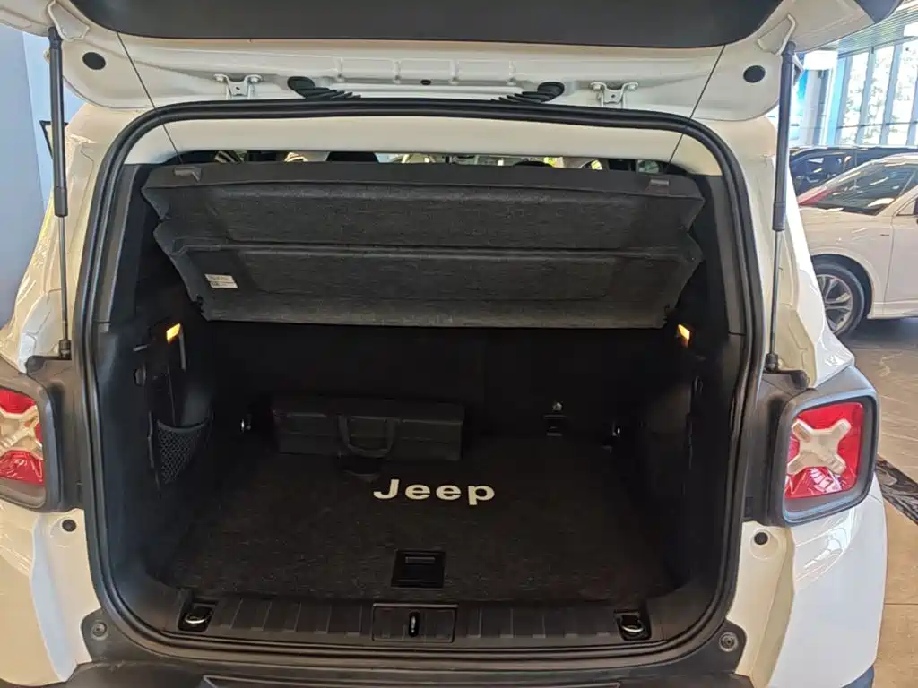 Jeep Renegade 2019 — фото 19