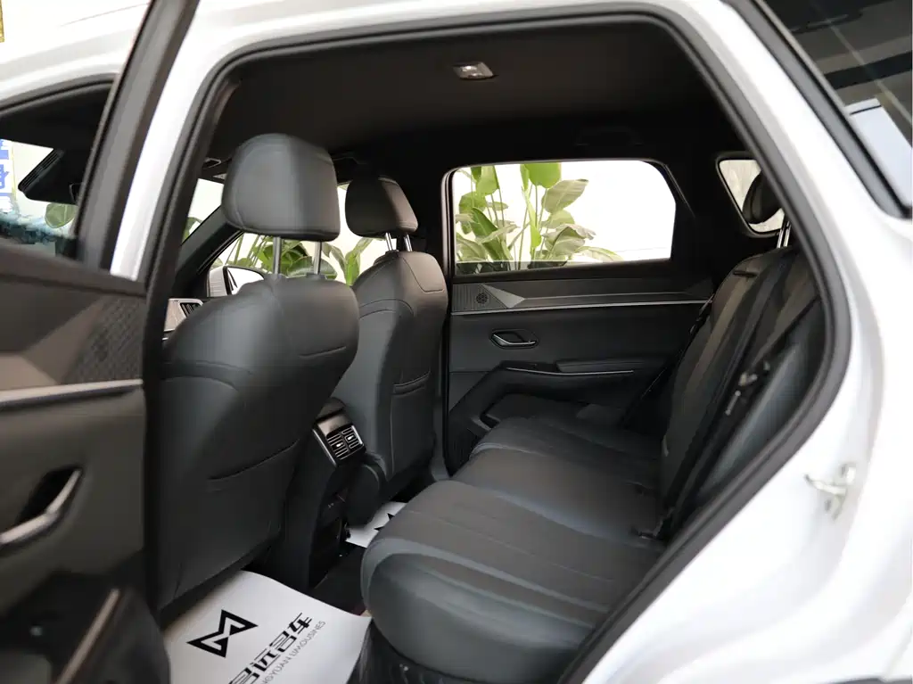 BYD Pro New Energy 2025 — фото 13