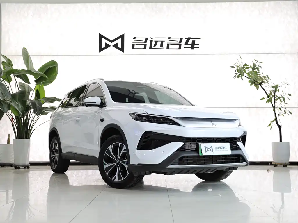 BYD Pro New Energy 2025 — фото 3