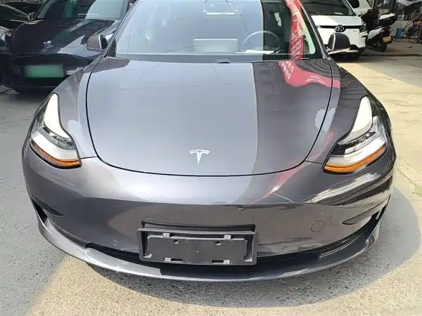 Tesla Model 3 2019