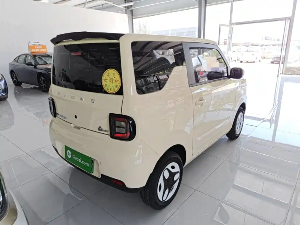 Geely Galaxy Panda 2025