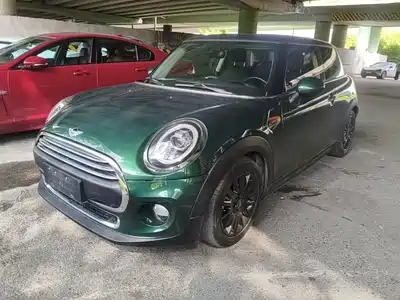 MINI MINI 2015