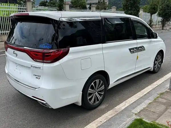 GAC Trumpchi M8 2019