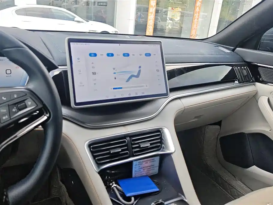 BYD PLUS New Energy 2024 — фото 13