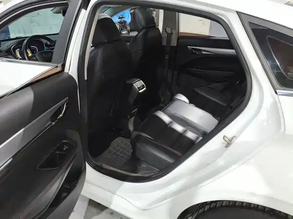 Geely Binrui 2019
