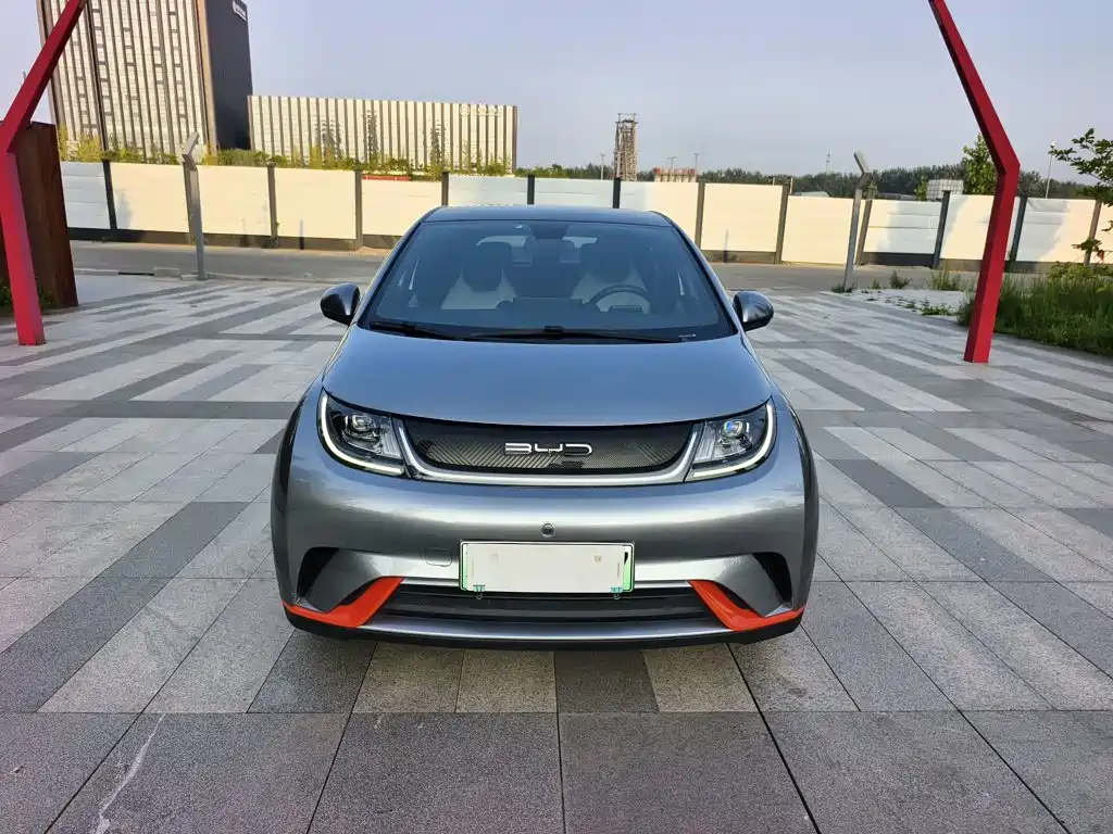 BYD Dolphin 2022