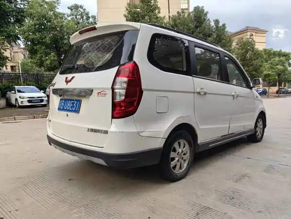Wuling Hongguang 2014