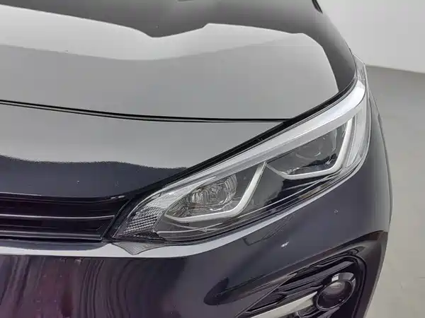 Toyota Wildlander 2024