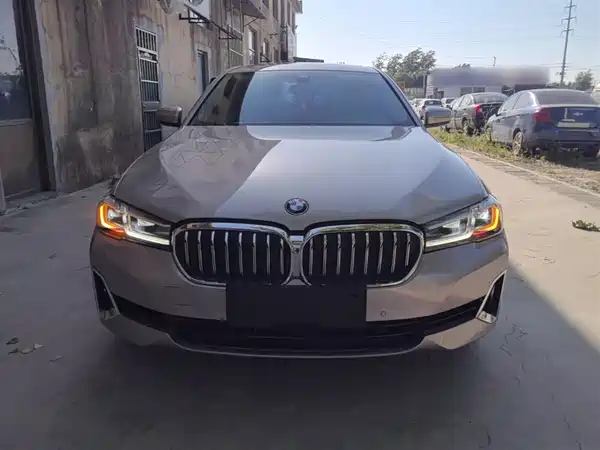 BMW 5 Series New Energy 2022