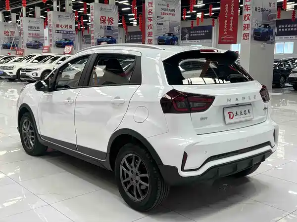 Livan Ruilan Automobile X3 PRO 2022