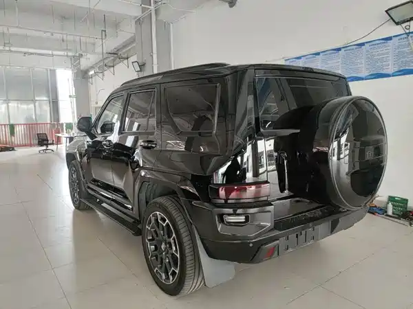 Tank 700 New Energy 2024