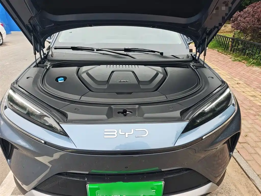 BYD Sealion 07 DM-i 2025 — фото 21