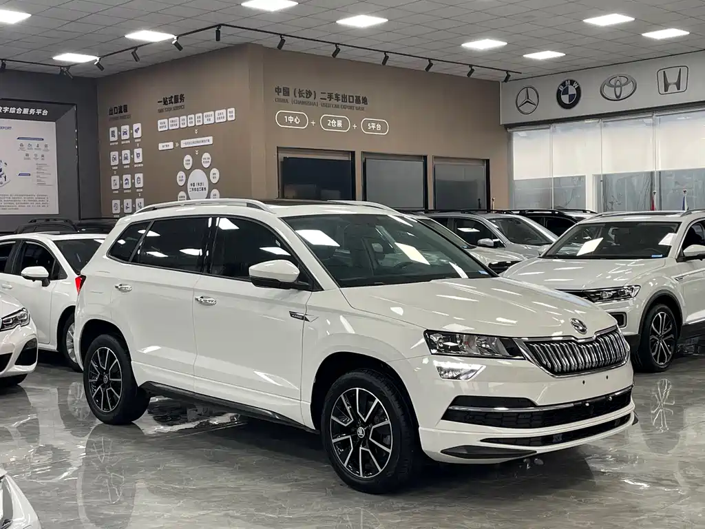 Skoda Karoq 2021 — фото 3