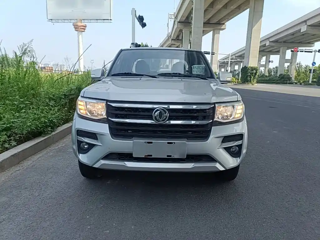 Dongfeng Ruiqi 2023