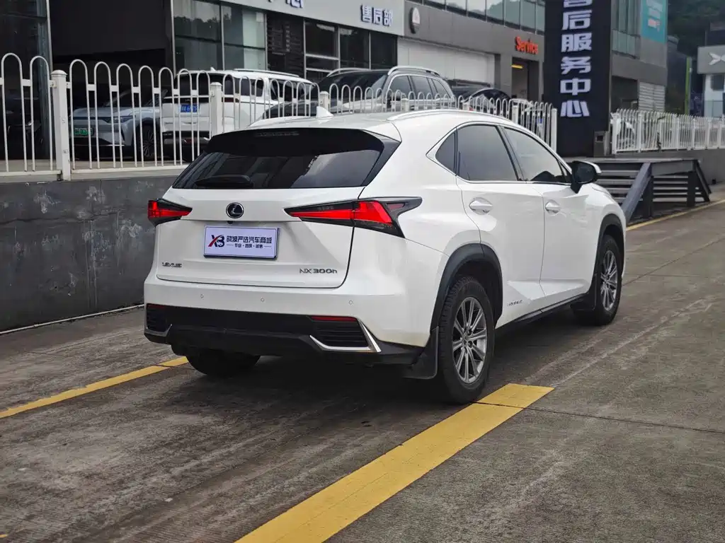 Lexus NX 2019 — фото 6