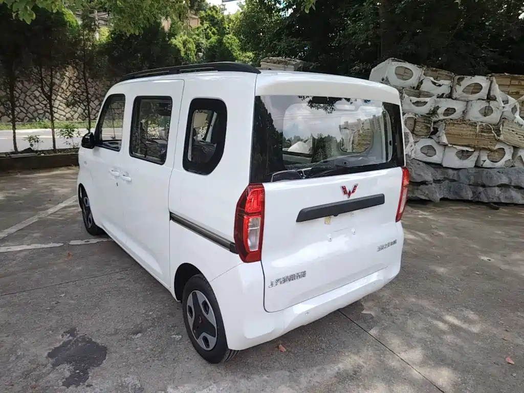 Wuling Zhiguang New Energy 2026