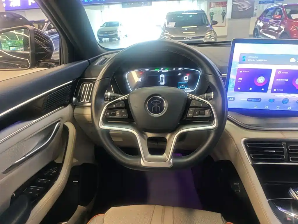 BYD Song PLUS New Energy 2022 — фото 11