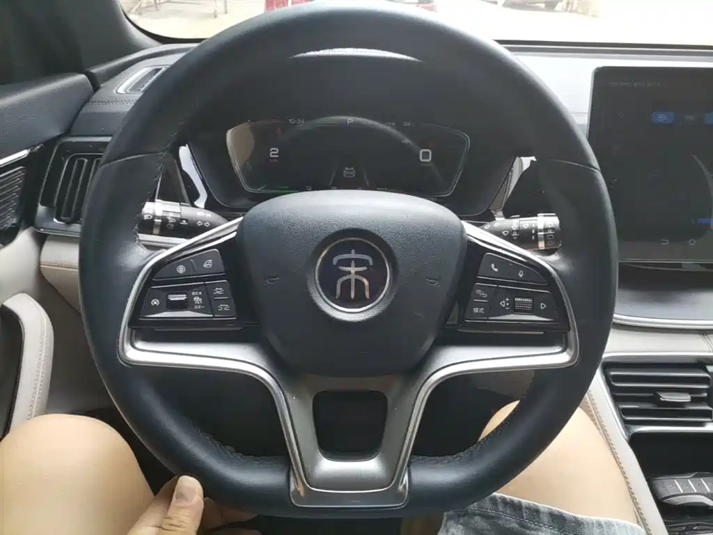 BYD PLUS New Energy 2023 — фото 11