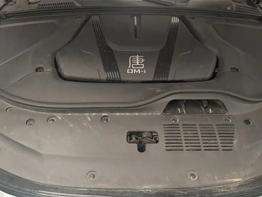 BYD Tang New Energy 2023 — фото 10