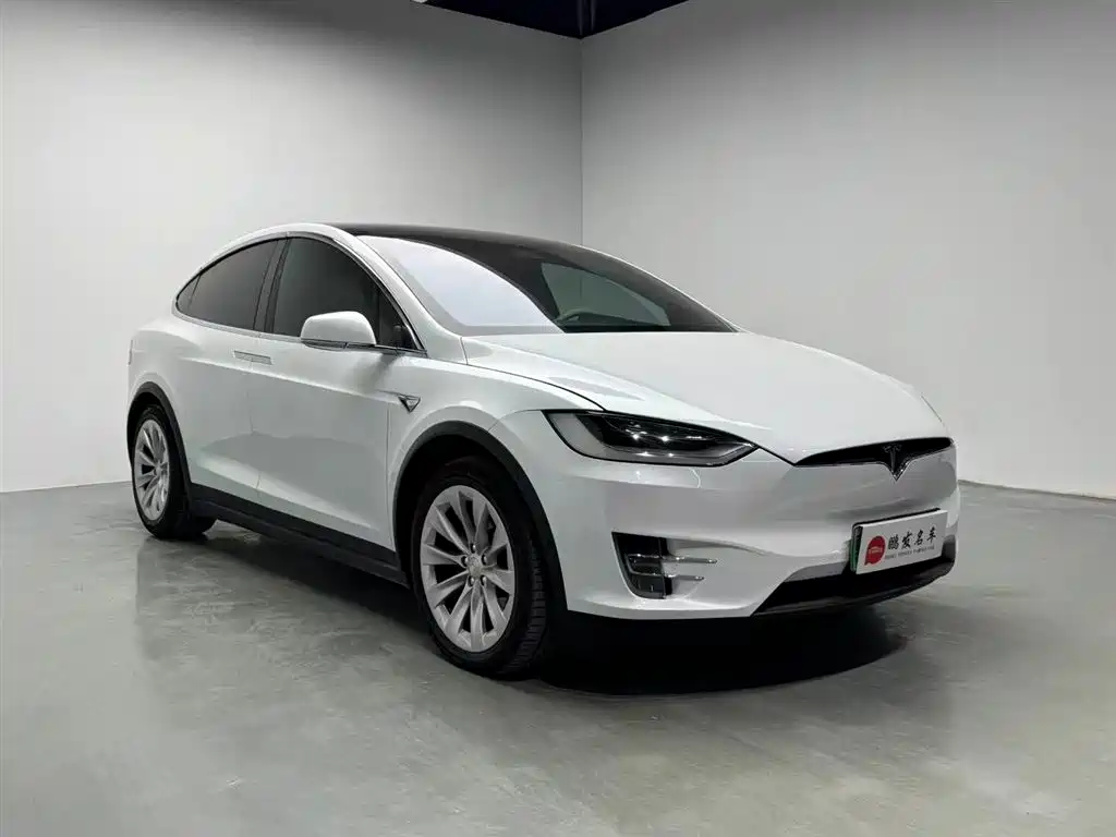 Tesla Model X 2019 — фото 3