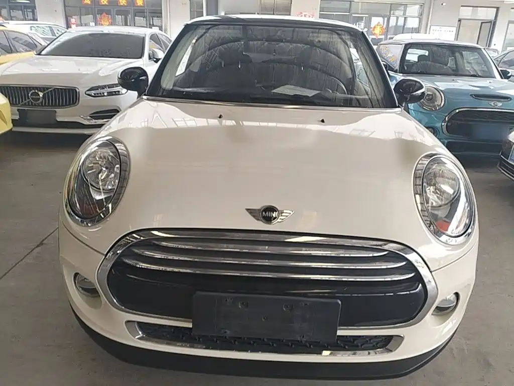MINI MINI 2015