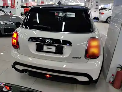 MINI MINI 2021