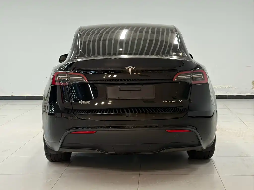 Tesla Model Y 2023 — фото 6