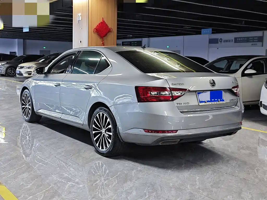 Skoda Speedy 2017