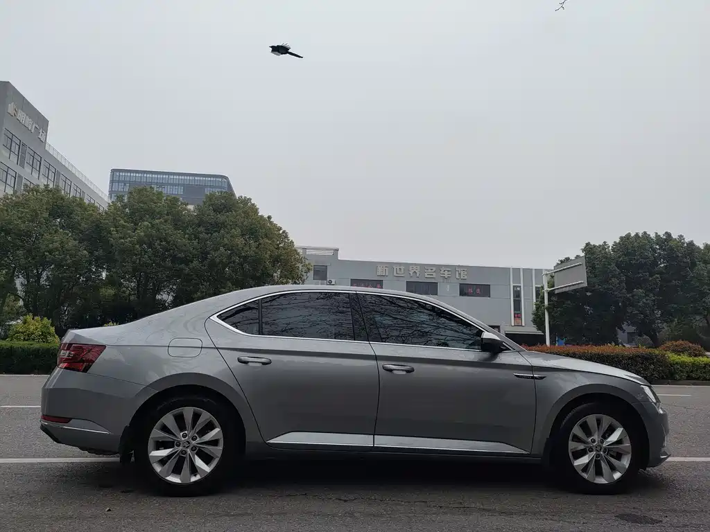 Skoda Speedy 2019