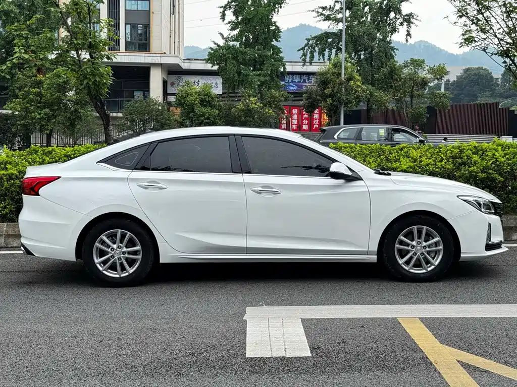 Changan Ruicheng CC 2020 — фото 25