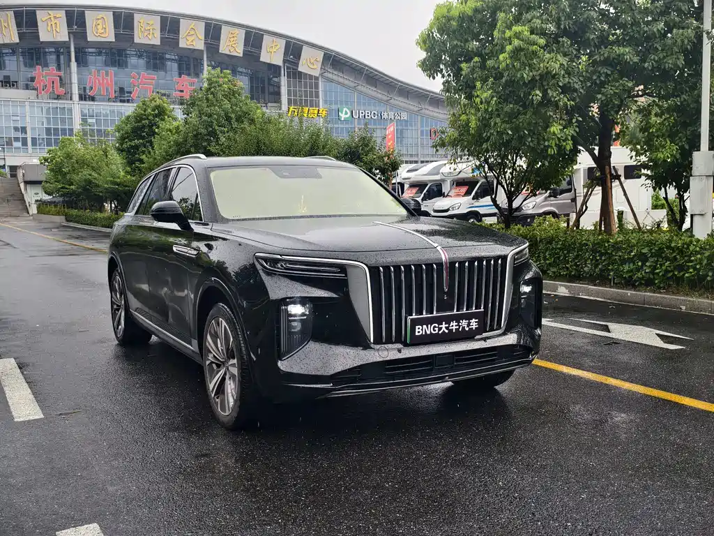 Hongqi E-HS9 2021 — фото 3