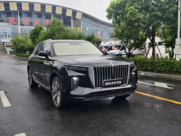 Hongqi E-HS9 2021