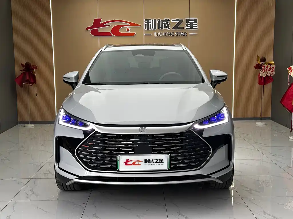 BYD Tang New Energy 2024 — фото 2