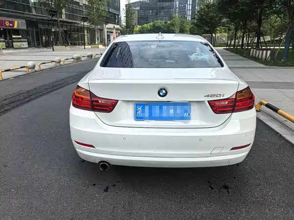 BMW 4 Series 2014
