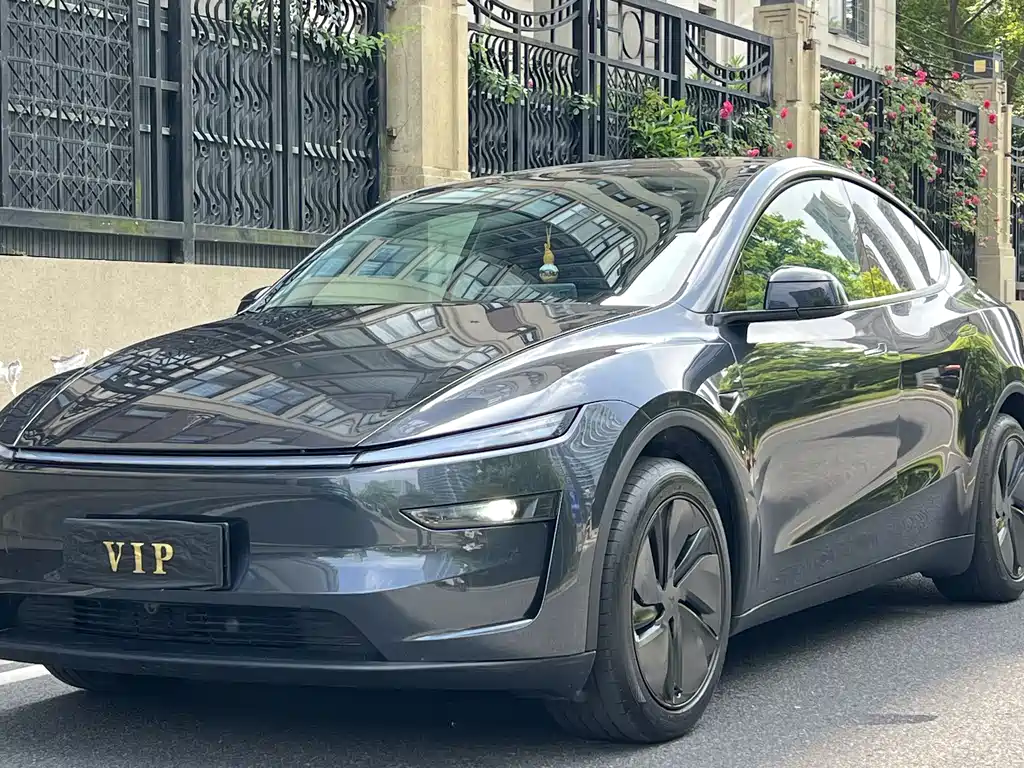 Tesla Model Y 2025 — фото 1