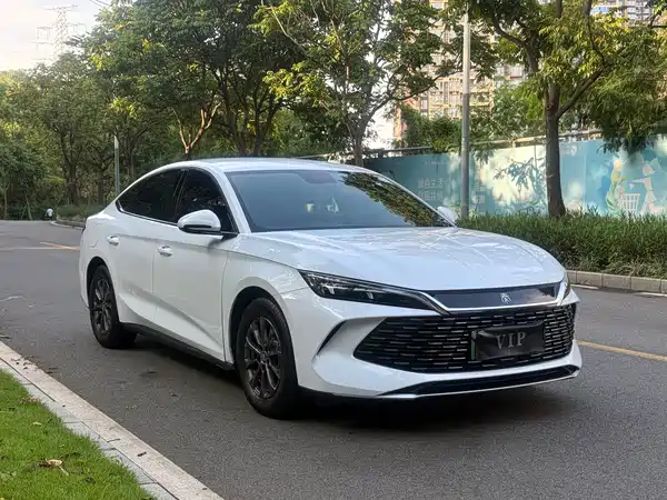 BYD Qin L 2024