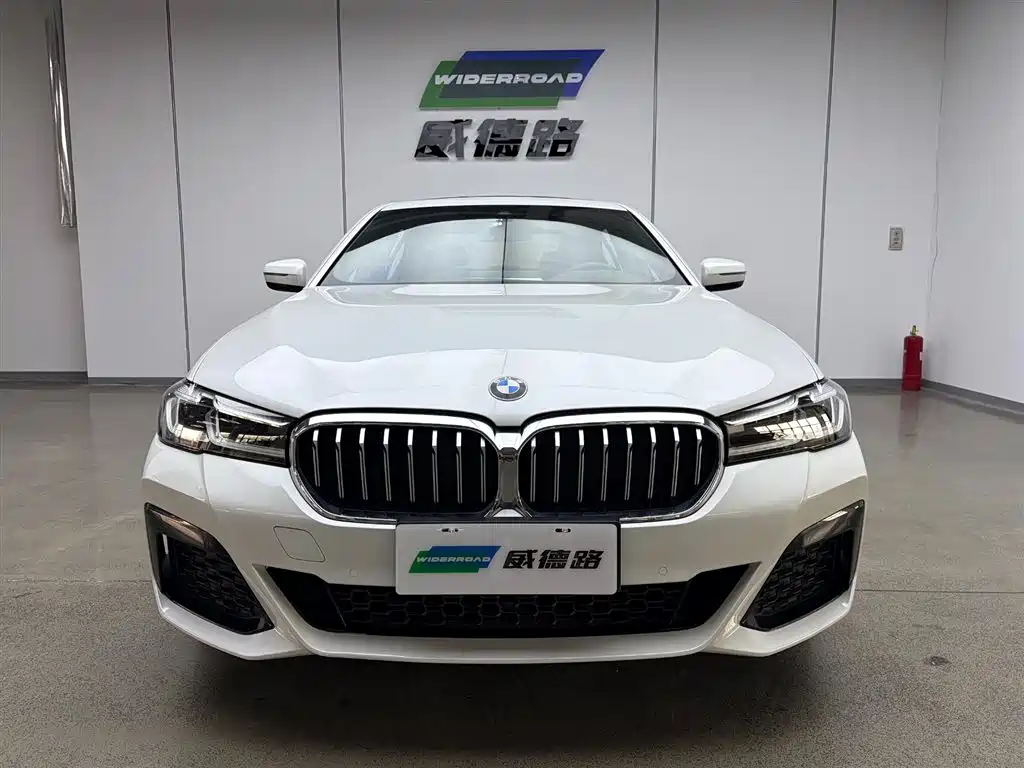 BMW 5 Series 2021