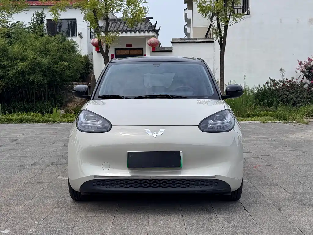 Wuling Bingo 2024