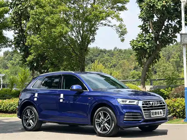 Audi Q5L 2019