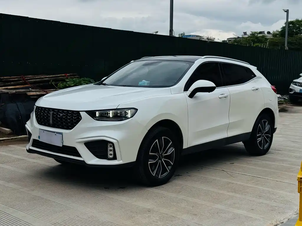 Wey VV5 2020