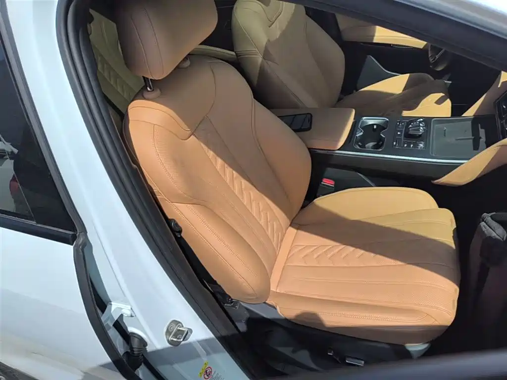 BYD L DM-i 2024 — фото 25
