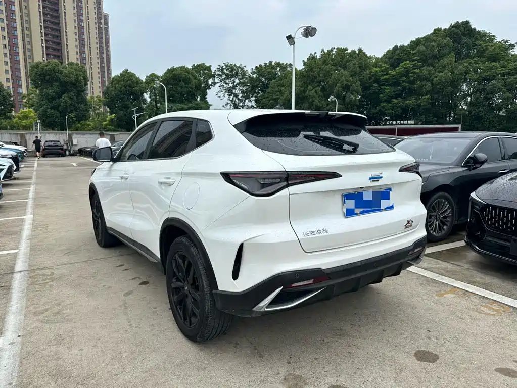 Oshan Oushang X5 PLUS 2023 — фото 10