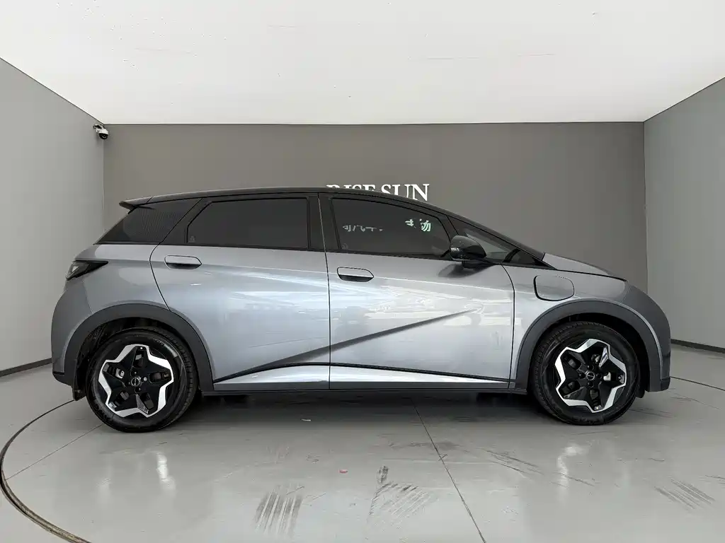 BYD Dolphin 2022