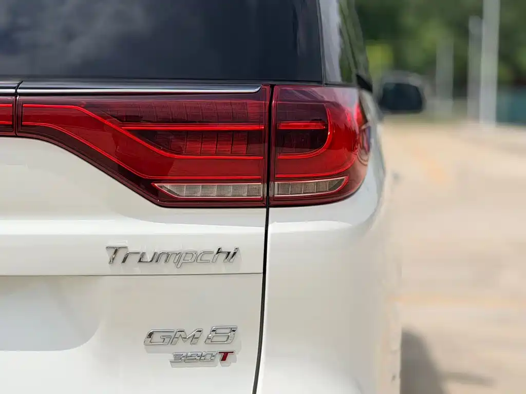 GAC Motor Trumpchi M8 2020 — фото 20