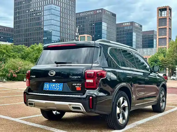 GAC Trumpchi GS8 2020