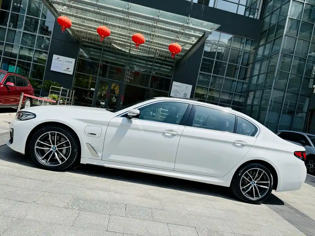 BMW 5 Series New Energy 2021