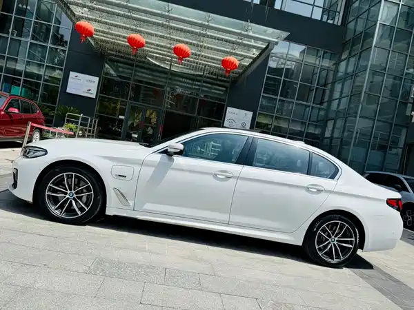 BMW 5 Series New Energy 2021