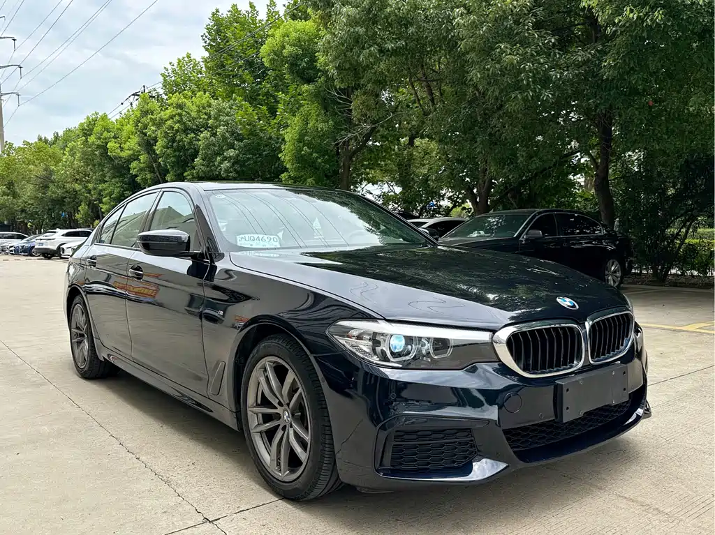 BMW 5 Series 2019